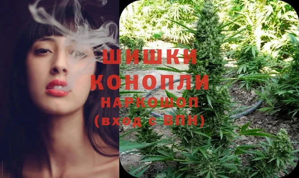 стаф Балахна