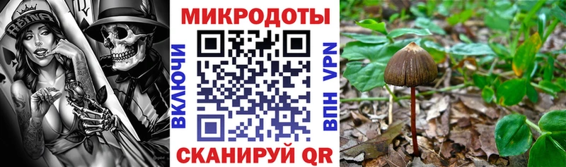 Псилоцибиновые грибы прущие грибы  Сураж 