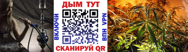 Бошки марихуана сатива  Сураж 